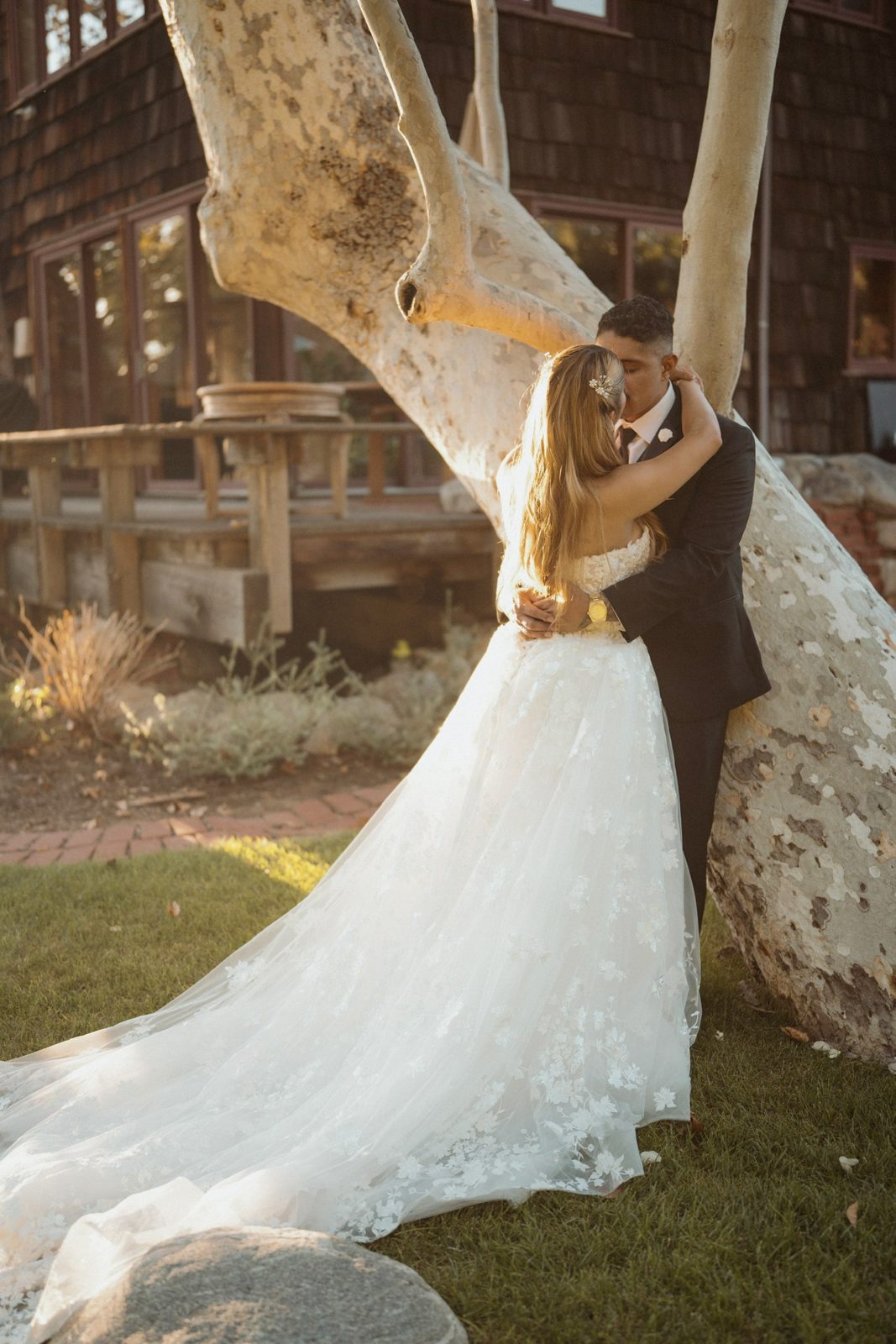 Couple embracing beneath a sycamore at golden hour