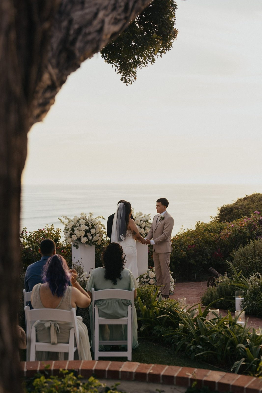Guests watching the ceremony framed by a tree