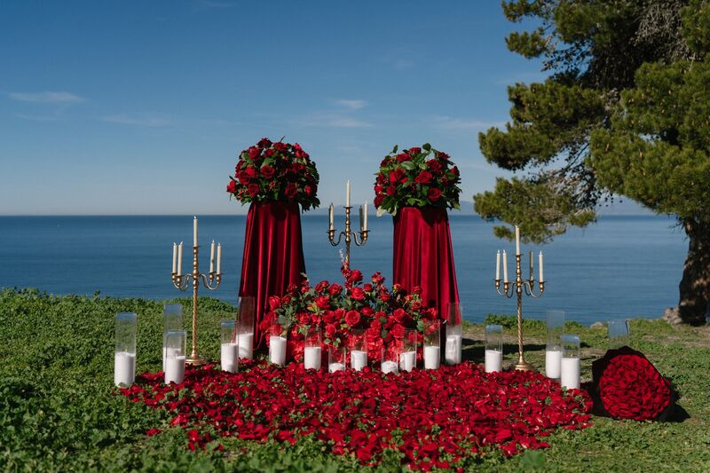 Red rose ocean setup