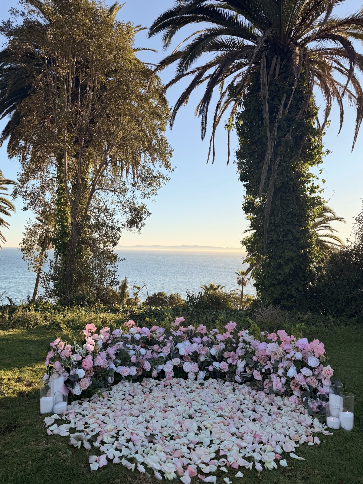 Pink hedge ocean proposal
