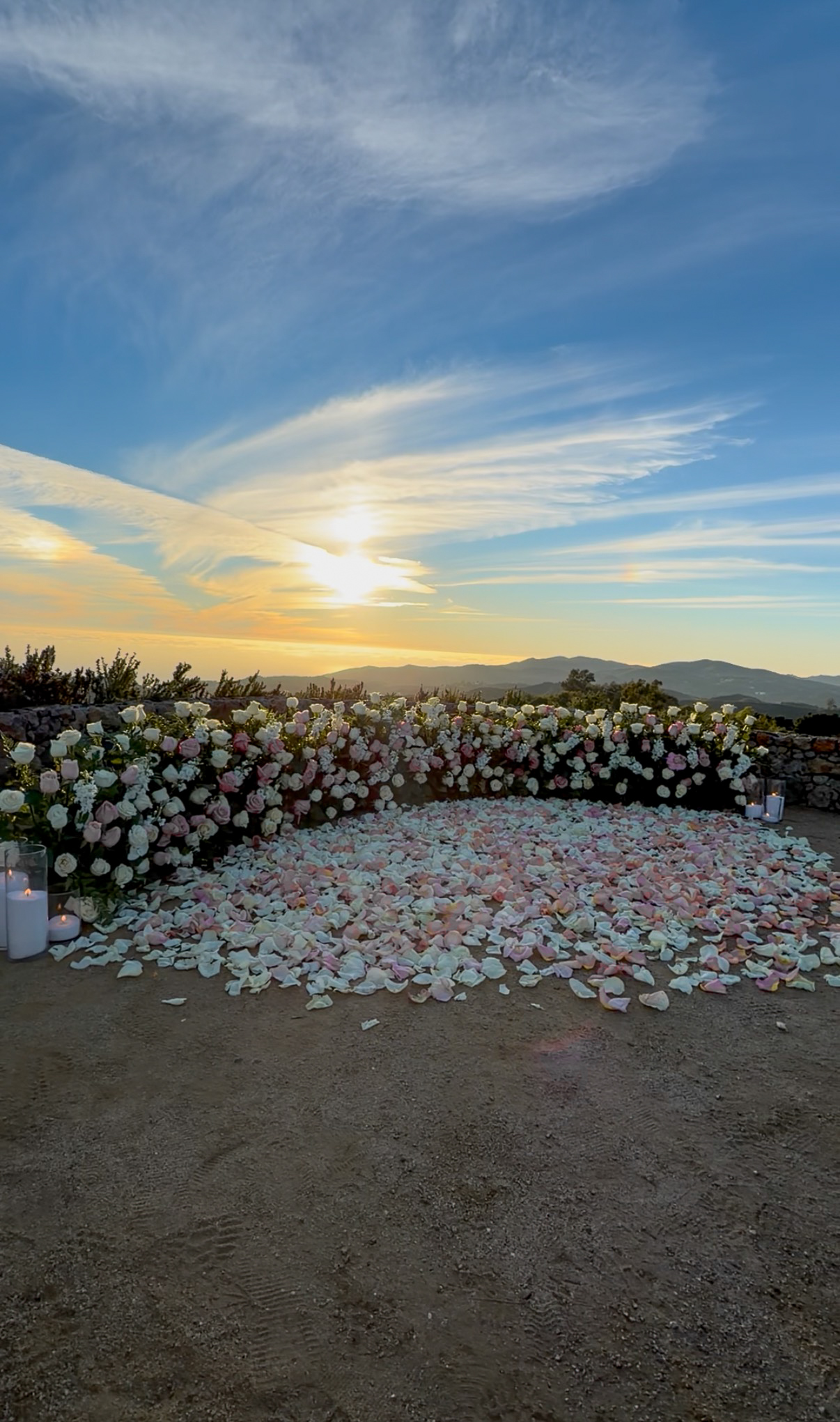 The Bloom Wall